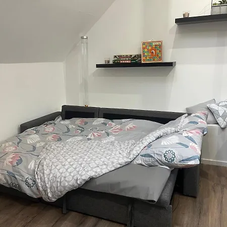 Cocoon'in *